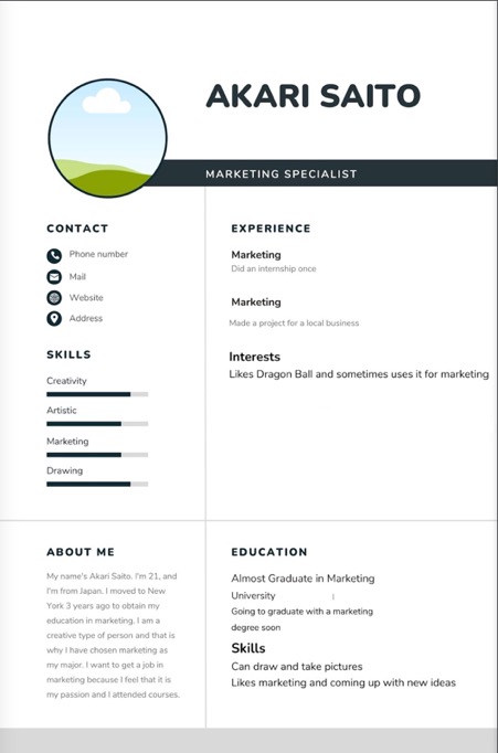 Akari_marketing_resume