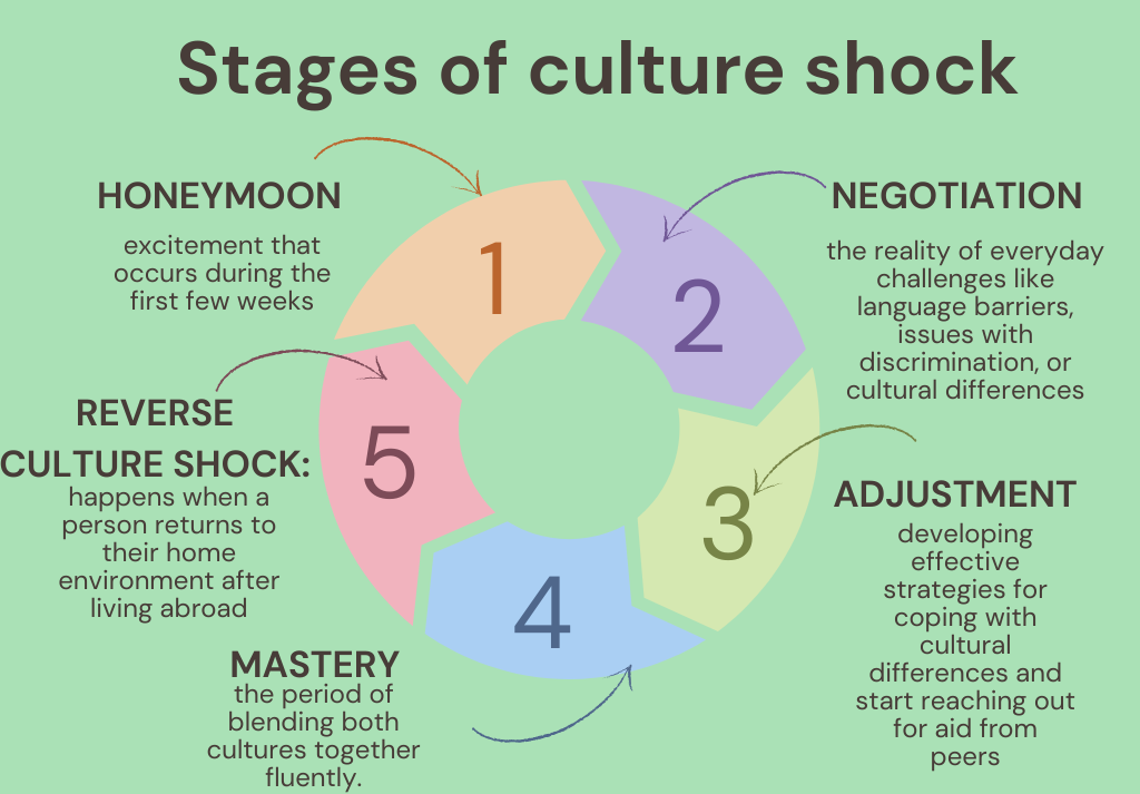 stages of culture shock