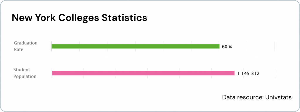 New York Colleges Statistics