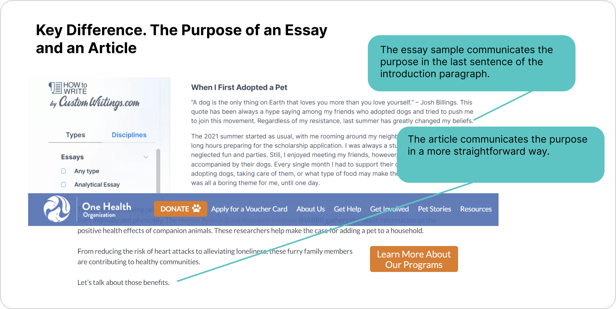 The Purpose of an Essay and an Article-min