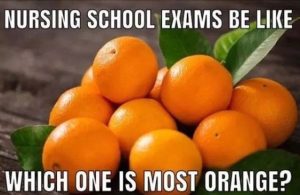 Exam nursing school memes