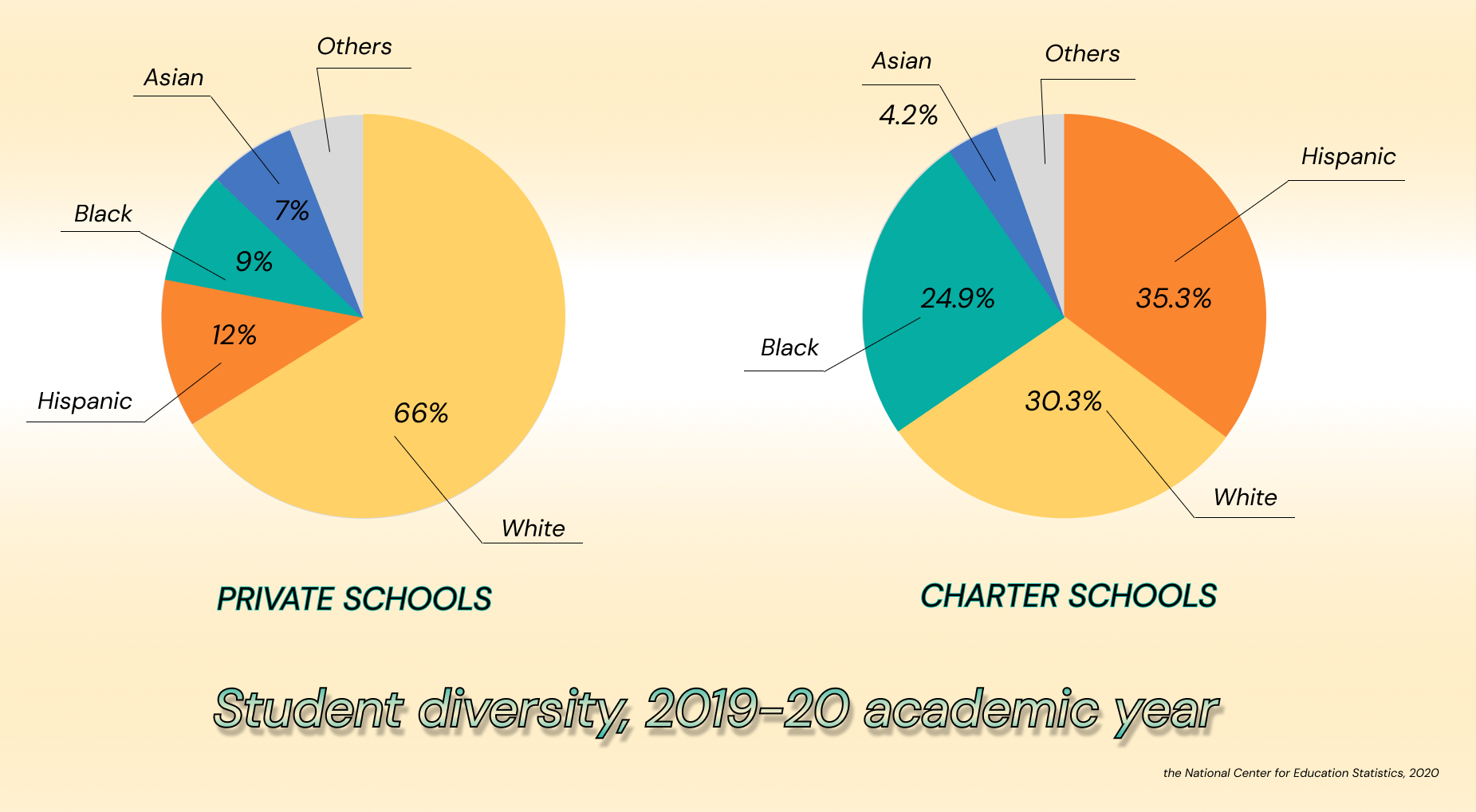 Student diversity, 2019-20 academic year